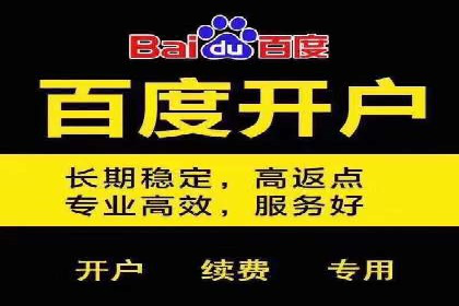 竞价SEM托管案例：低成本高回报的秘诀